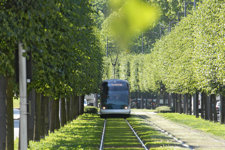 tram