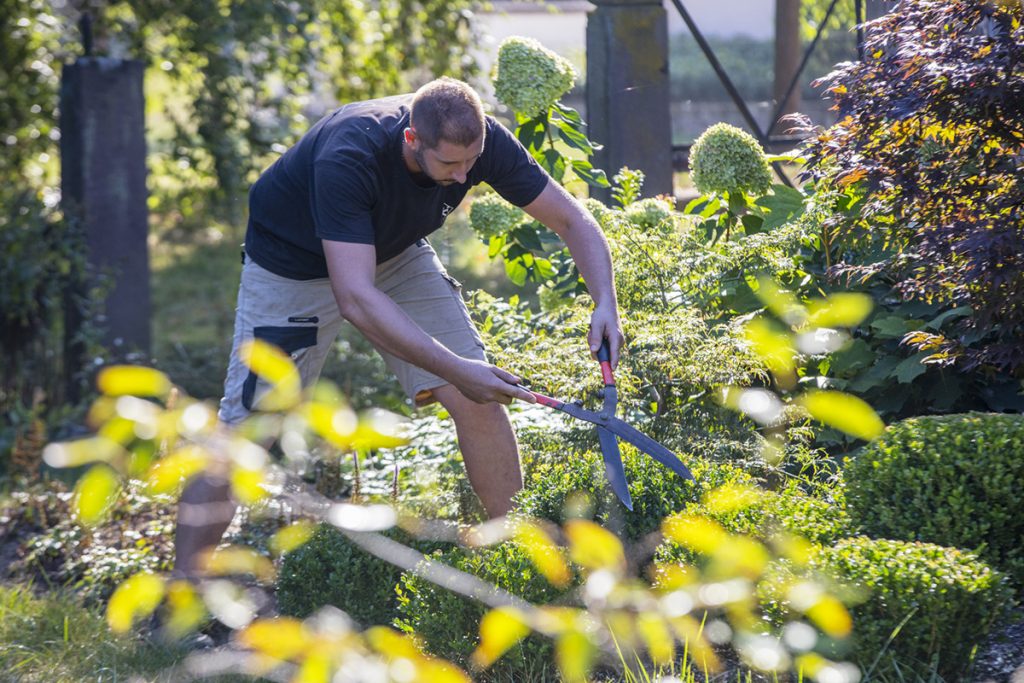 homme en train de tailler
