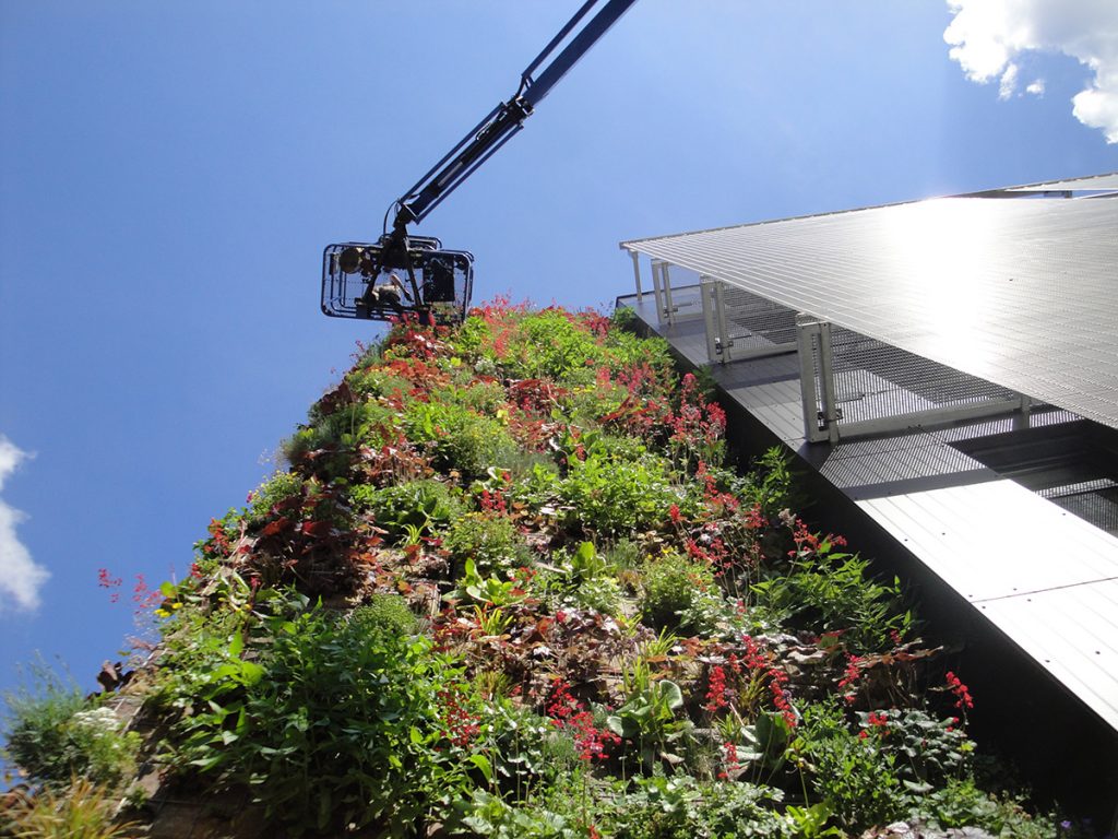 nacelle contre mur végétalisé