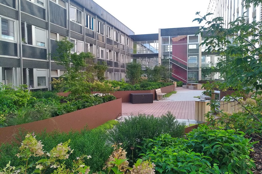 bâtiments et végétation