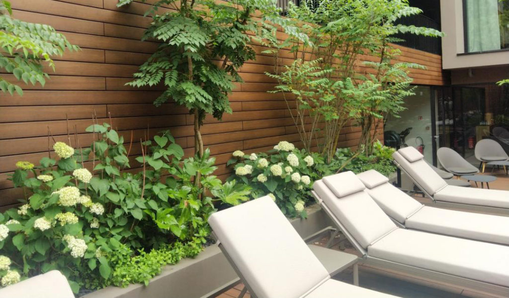 terrasse végétalisée