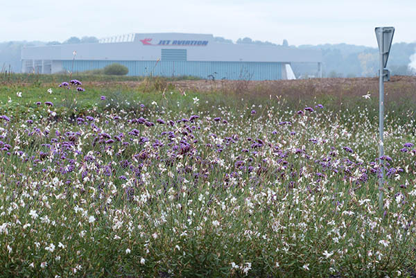 aéroport Bâle-Mulhouse