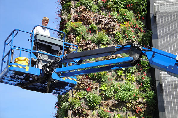 Mur végétalisé de l'ENA