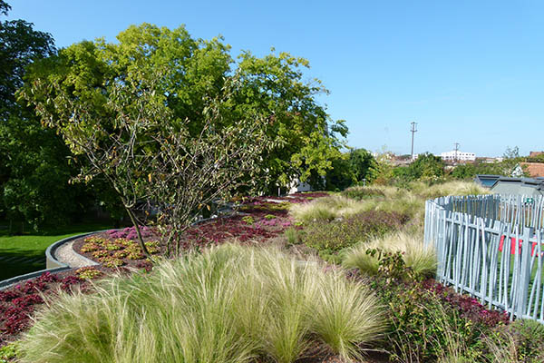Toit de la maison intergénérationnelle