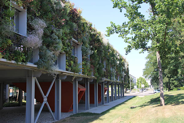 Mur végétalisé du CROUS