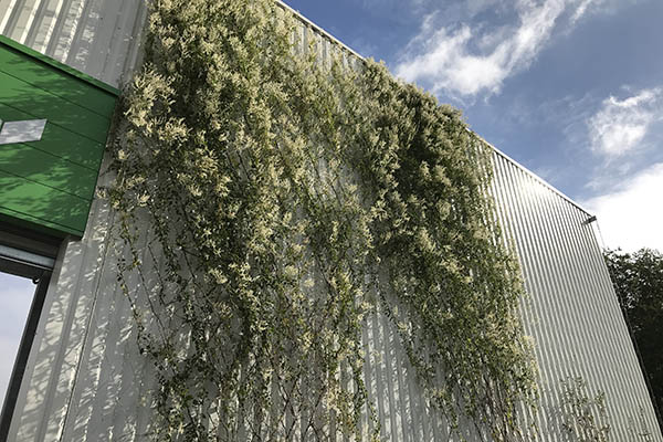 Parking du parc d'activité Taubenhof