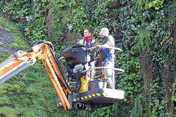 Dôme végétalisé Europa Park