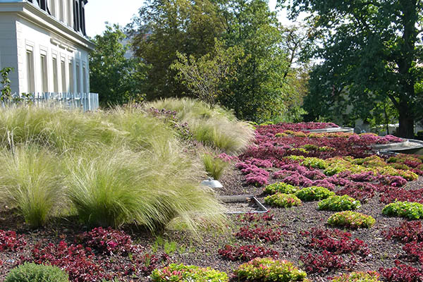 Toit de la maison intergénérationnelle