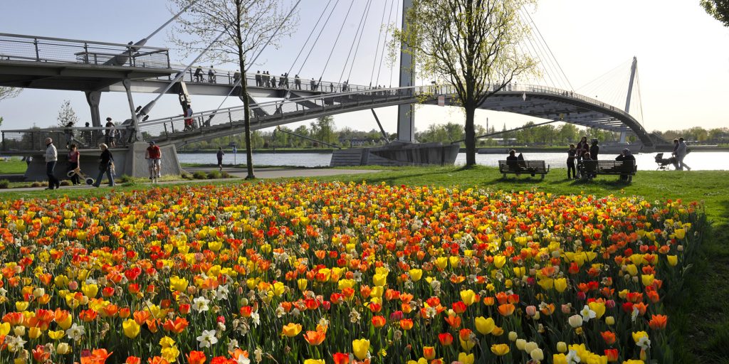 tulipes au jardin des deux rives