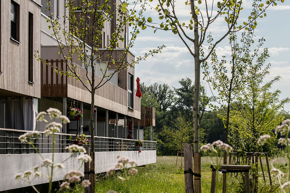 parc de l'écoquartier