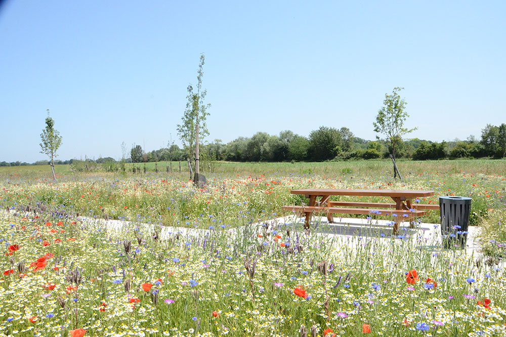 table entourée de fleurs