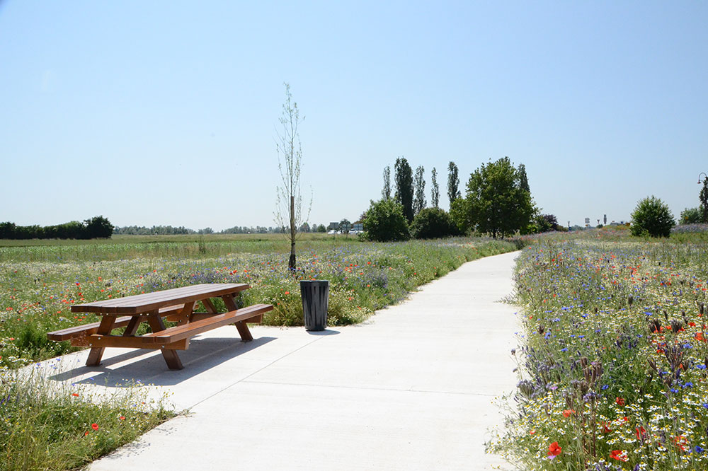 table entourée de fleurs
