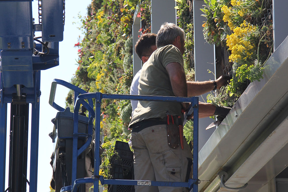 mur végétalisé avec nacelle