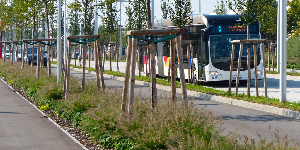 bus derrière végétation