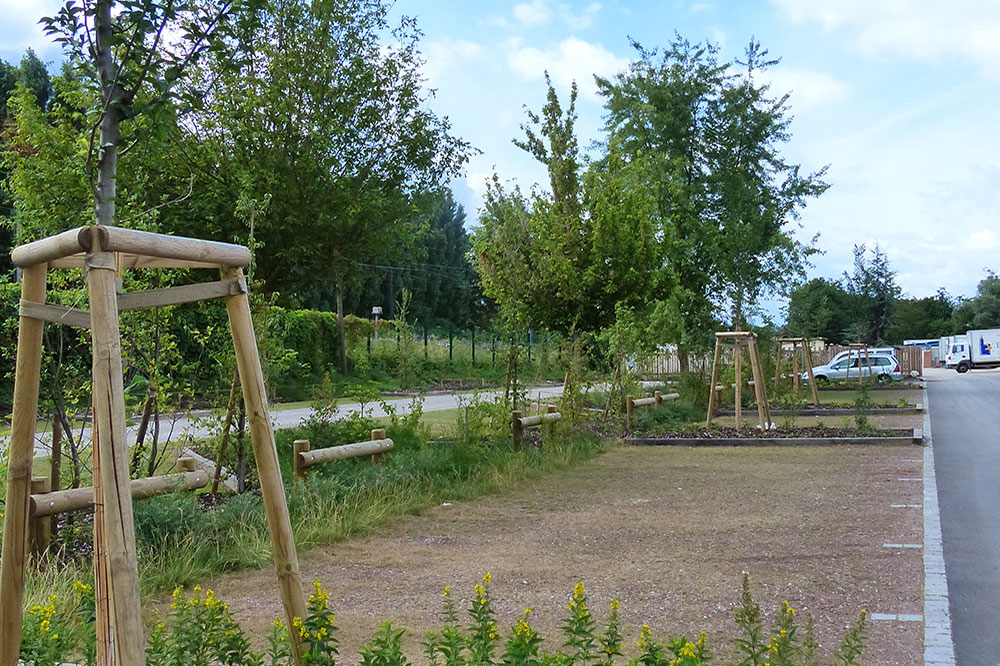 parking végétalisé