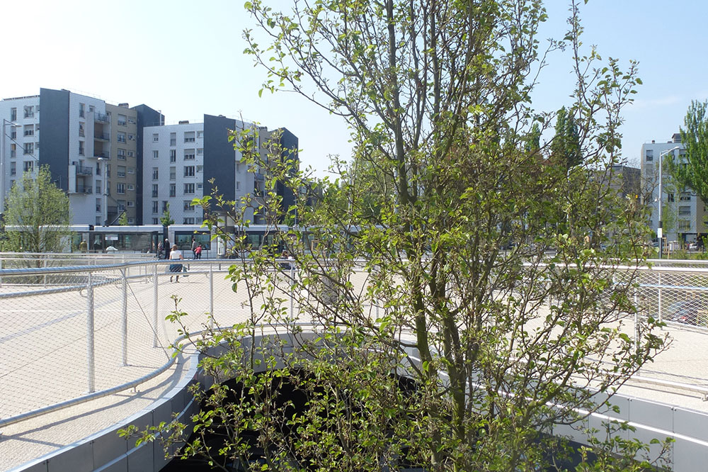 parvis avec un arbre