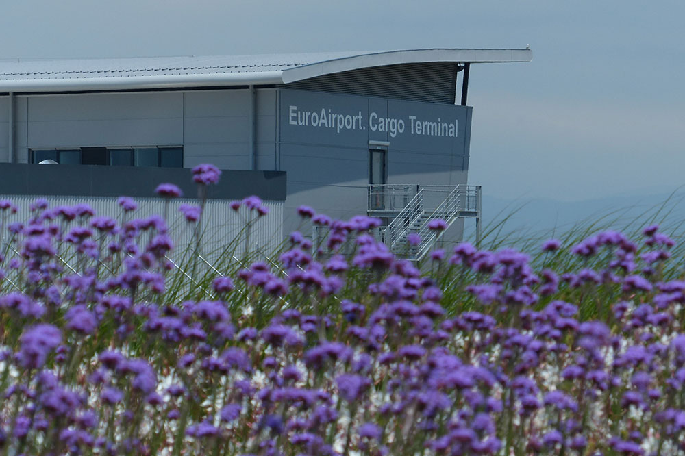 aéroport avec des fleurs