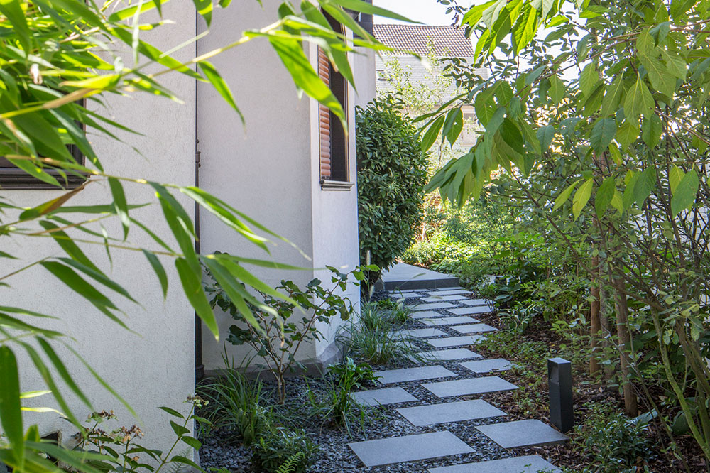 allée dans un jardin