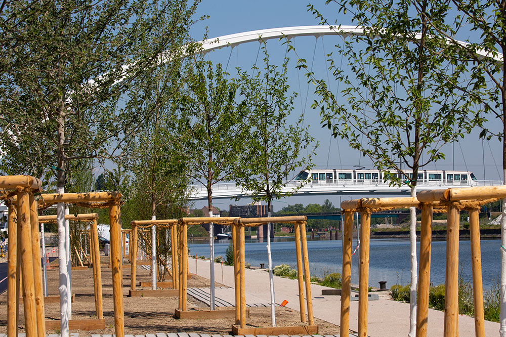 jeunes arbres devant une passerelle avec un tram
