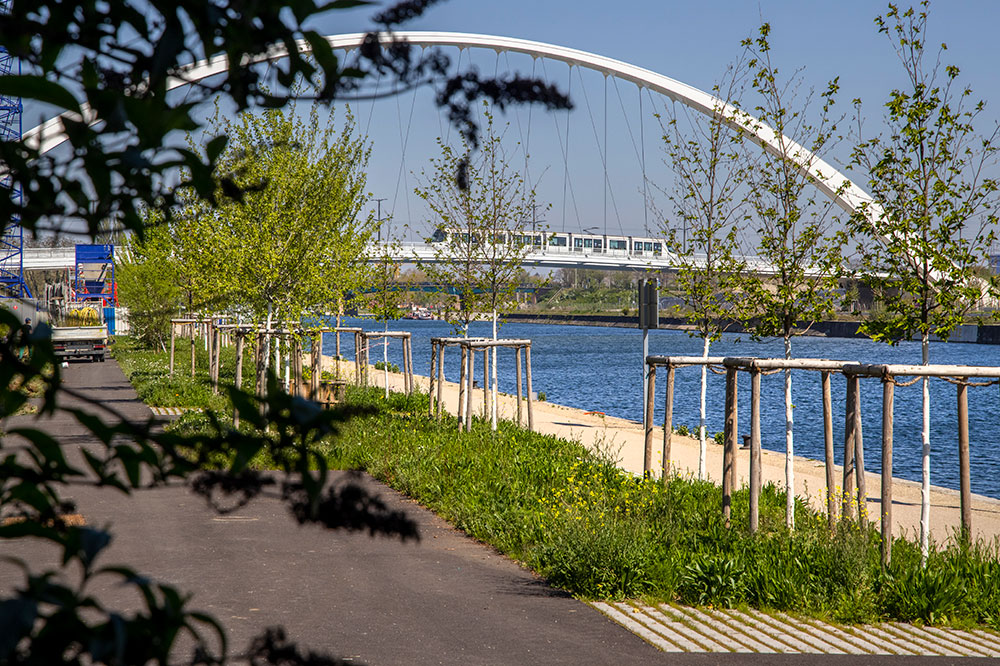 jeunes arbres devant une passerelle avec un tram