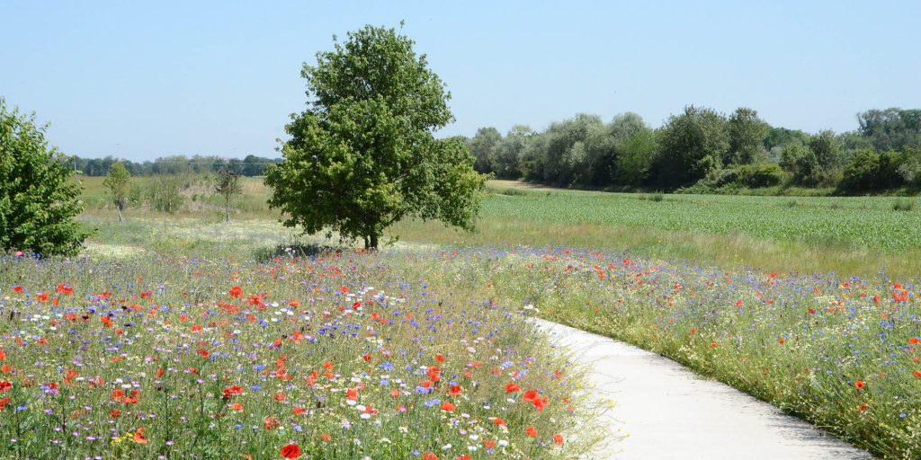 Parc d'activité Joffre