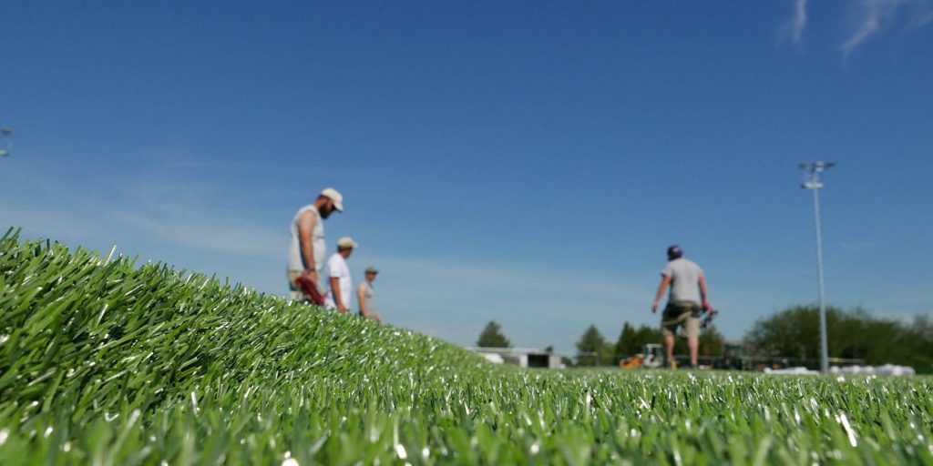 Gros plan sur la pelouse