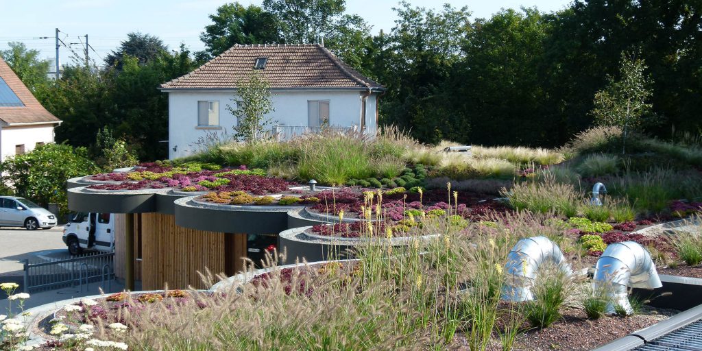 Toit de la maison intergénérationnelle