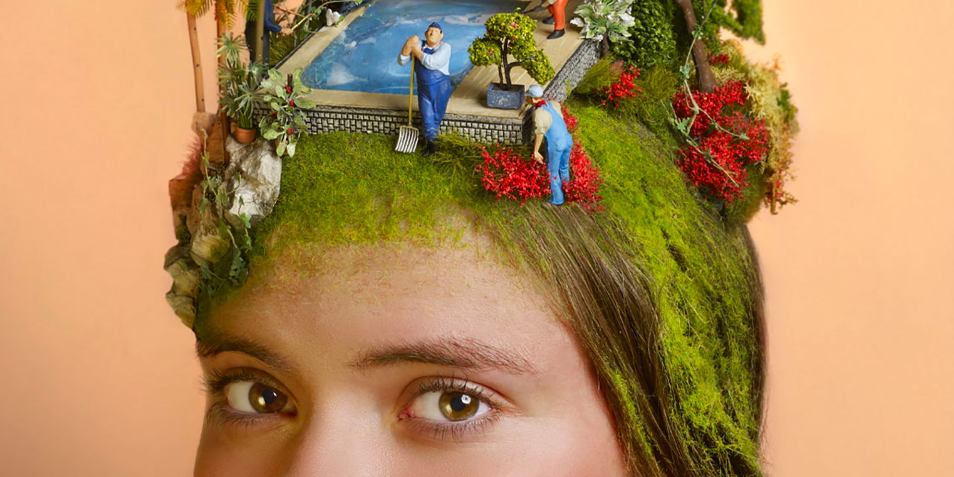 image de fond de l'actualité