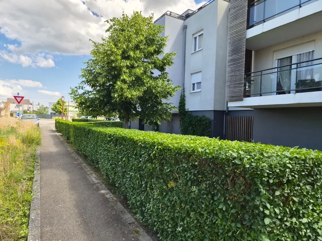 image de fond de l'actualité