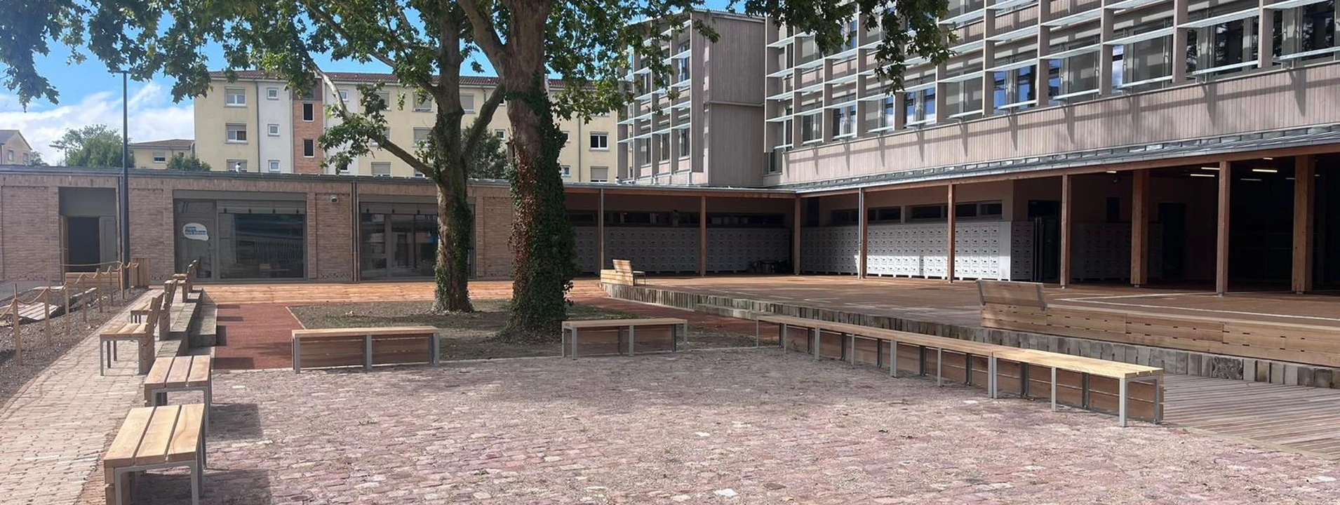 Cour végétalisée du nouveau collège du Neuhof à Strasbourg avec ses platanes centenaires et ses pavés de réemploi